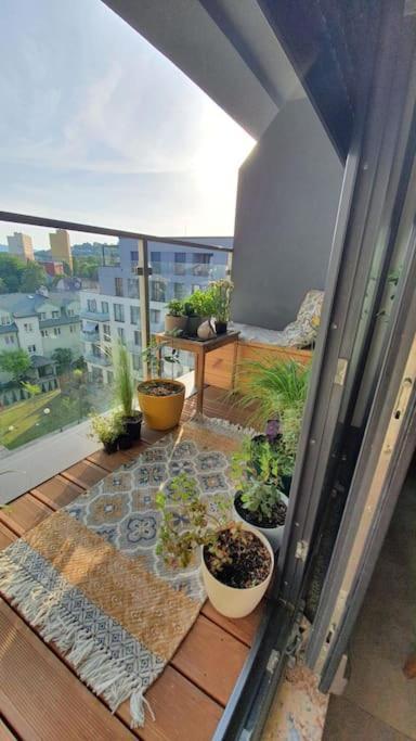 Apartment In City Center Przemysl Ngoại thất bức ảnh