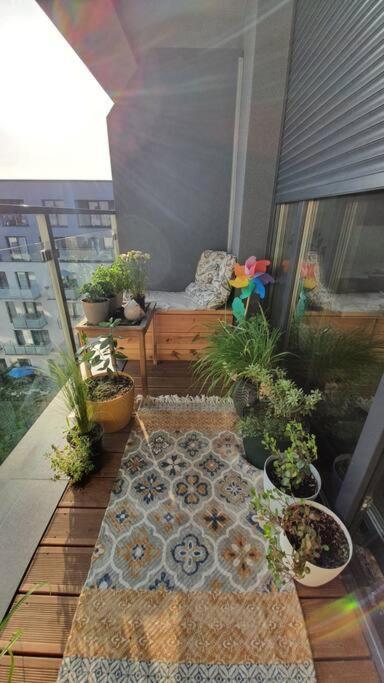 Apartment In City Center Przemysl Ngoại thất bức ảnh